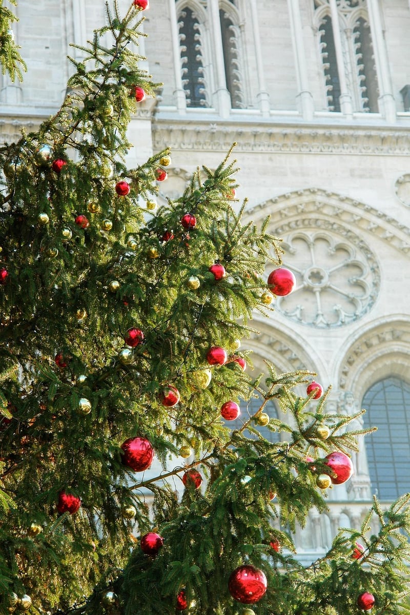 Notre Dame Cathedral